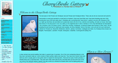 Desktop Screenshot of cherrybirdie.com